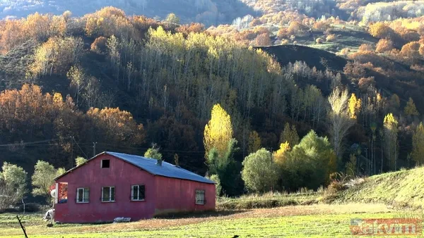 Muş'ta sonbaharın getirdiği renk cümbüşü harika görüntülere neden oldu - 3