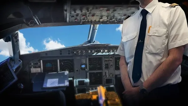 Kayıp keçiler, drone sayesinde bulundu (Yaşam haberleri)-1
