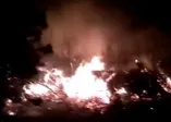 Son dakika: Tekirdağ'da orman yangını