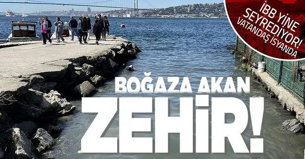 İstanbul Boğazı’na zehir akıyor İBB seyrediyor! Vatandaş Bekar Deresi’ndeki kirliliğe ve kötü kokuya isyan etti