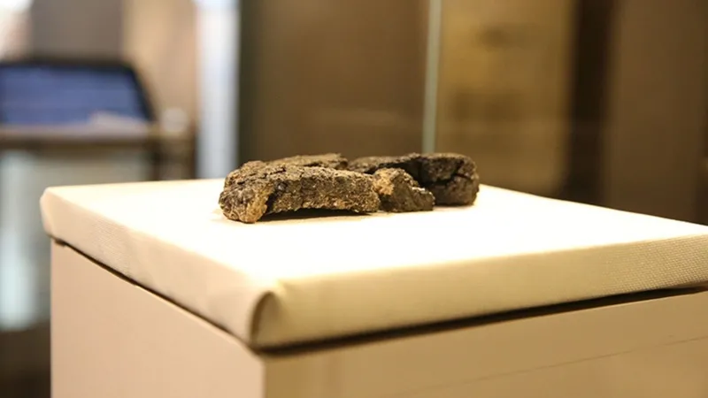 antik-cagda-ekmek-boyle-yapiliyormus-5-bin-yillik-recete-ortaya-cikti-1775303314968.jpg Antik çağda ekmek böyle yapılıyormuş! 5 bin yıllık reçete ortaya çıktı-4