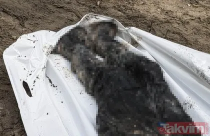 İzyum’da bulunan toplu mezarlar otopsi için açılıyor! Bomba iddia: Önce işkence sonra infaz!