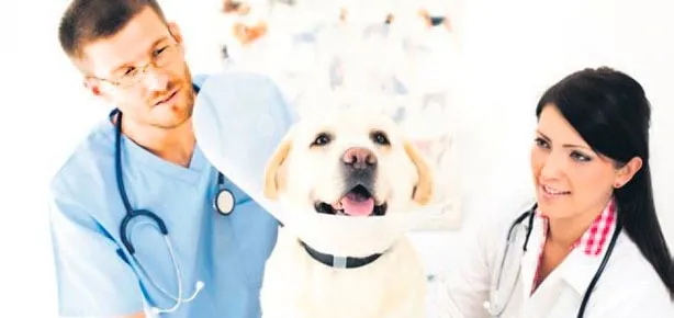 12 Eylül yasağı kalktı