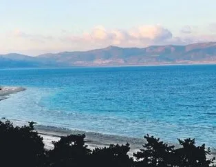 Salda kuruyor