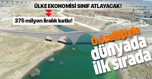 O özelliğiyle dünyada ilk sırada! Ilısu Barajı’ndan ülke ekonomisine dev katkı!