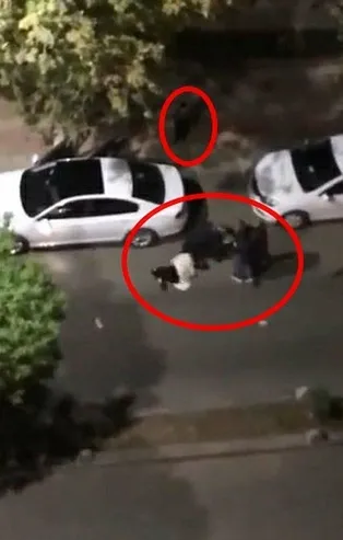 Siirt'te dehşet anları! Yol ortasında kadını yere yatırdı tekme tokat darbetti