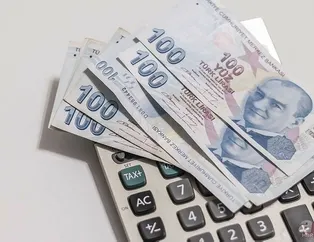 TL mevduatta tarihi zirve!