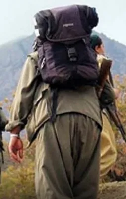 Hainlerin inleri yerlebir...