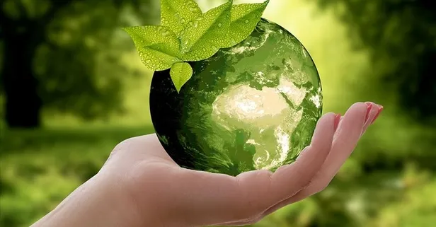 Sıfır Atık Projesi 7 yılda kattıklarıyla göz kamaştırıyor... 552 milyon ağacın kesilmesi önlendi