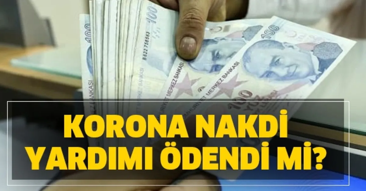 Ihtiyac Sahibi Aileye 1000 Tl Yardim Online Basvuru Alma Ekrani Korona Nakdi Yardim Odendi Mi Takvim