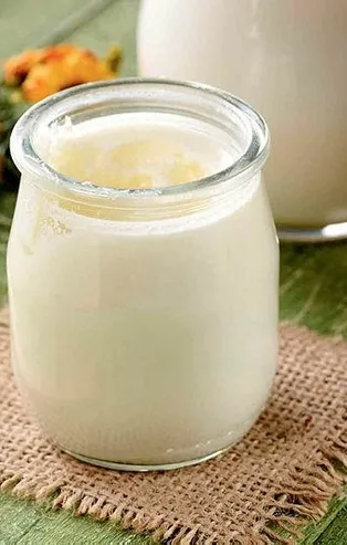 Kefir kanseri yok ediyor