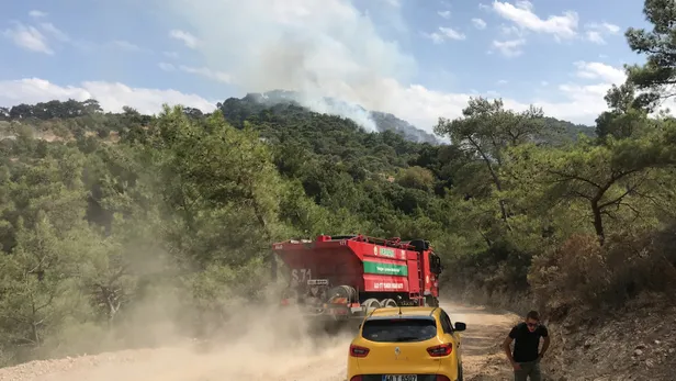 Son dakika haberi: Bodrum'da orman yangını-6