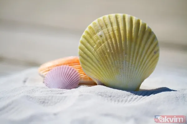 Güneş sonrası cilt yanıklarına doğal çözüm: Bu 2 malzeme evinizde var - 7