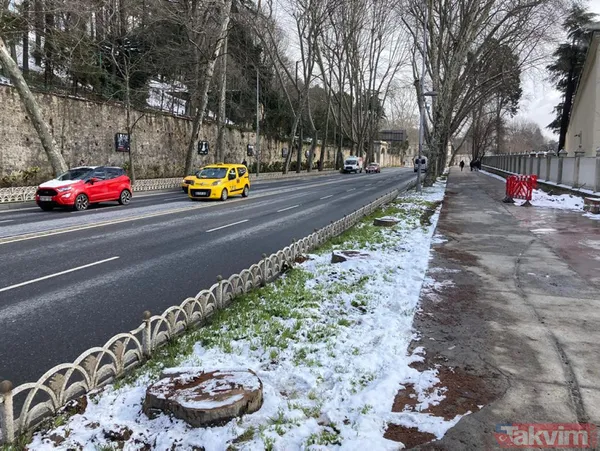 CHP'li İBB'nin ağaç katliamına sessiz kalan sözde çevrecilerin ikiyüzlülüğü! AK Parti: "Bu zihniyet, nobran bir zihniyettir” - 14