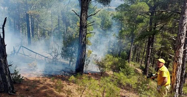 İki günde çıkan 6 orman yangınının nedeni belli oldu!