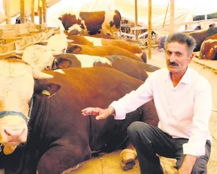 Her ile farklı fiyat