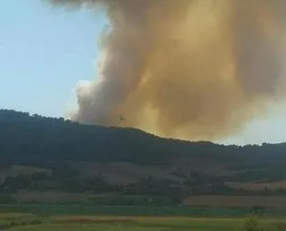 Bir yangın da o ilimizde! Kabus gibi görüntüler