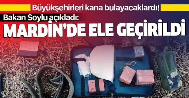 Bakan Soylu açıkladı: Mardin'de ele geçirildi