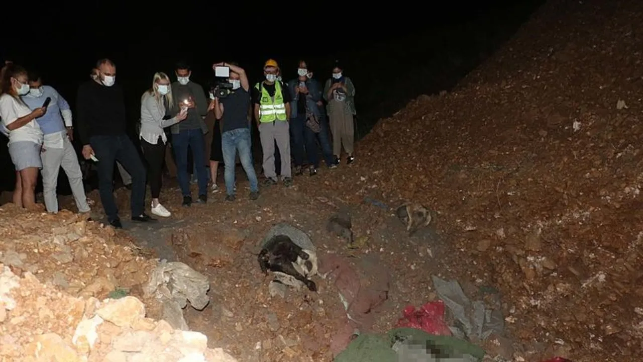 Altındağ’da korkunç manzara: 11 köpek ölü  bulundu! Soruşturma başlatıldı