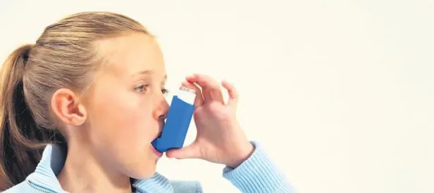 Kekikle astımı frenle