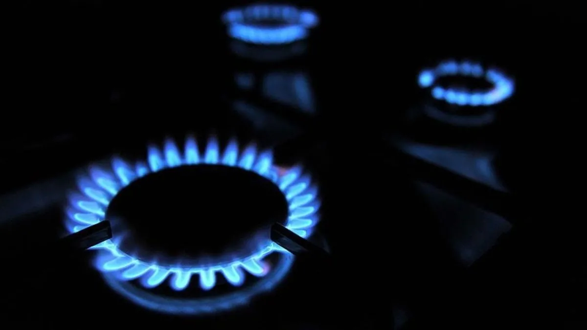 Türkiye Doğal Gaz Dağıtıcıları Birliği'nden vatandaşlara cep dostu öneriler: Fatura yüksekse itiraz edin