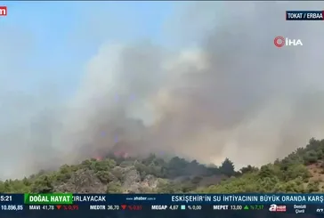 Tokat'ta orman yangını çıktı!