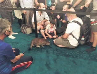 Ayasofya’nın il’Gli’si