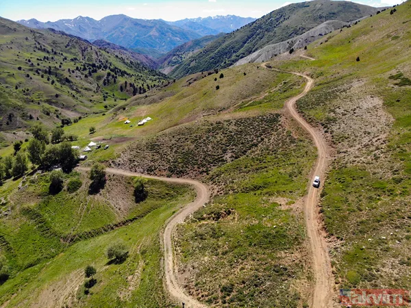 Tunceli'de sürü sahipleri 2 bin 500 metre rakımlı yaylada aşılandı - 2