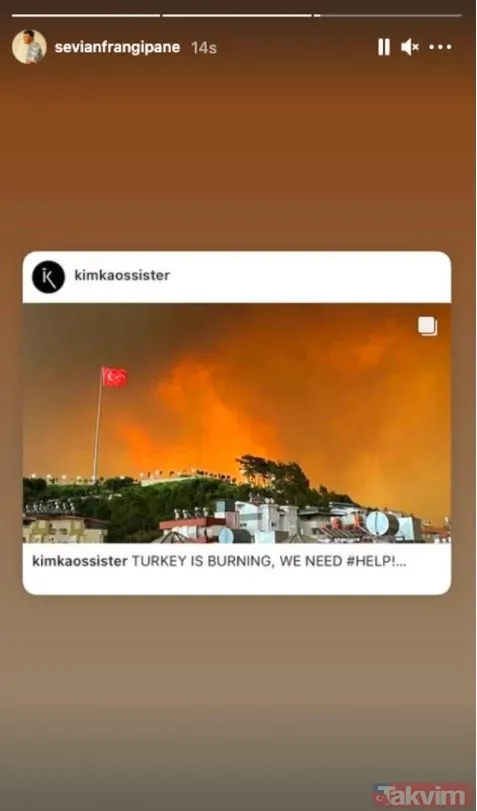 Dünyaca ünlü isimler orman yangınlarının ardından Türkiye’ye destek oldu! Paylaşımlar peş peşe geldi Dua Lipa, Bella Hadid, Inna... - 13