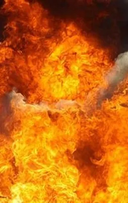 Afganistan'da camide patlama