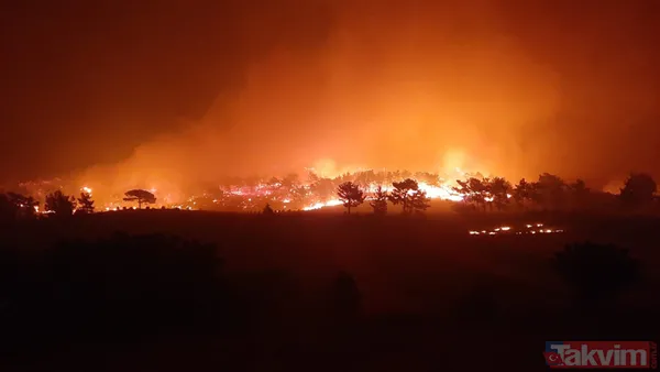 Kan kaybeden PKK, Türkiye'nin ormanlarını yakıyor: Yunanistan'da eğitim gördüler hedeflerinde turistik bölgeler var - 47
