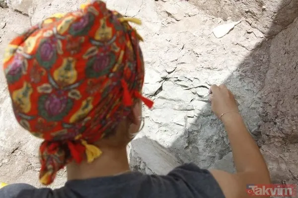 Çankırı'da 8,5 milyon yıllık fosil bulundu! - 24