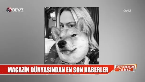 Hadise, Kaan Yıldırım'ın köpeği 'Benek'i çabuk unuttu