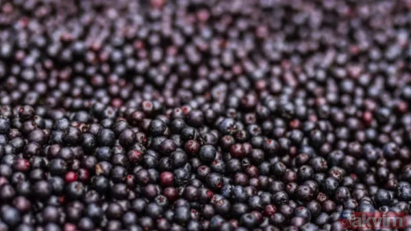 Soğuk algınlığına doğal kalkan! Günde bir avuç tüketmek grip belirtilerini hızla hafifletiyor - 8