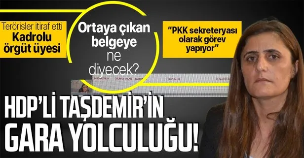 HDP'li Taşdemir'in Gara'ya gidişinin belgeleri!