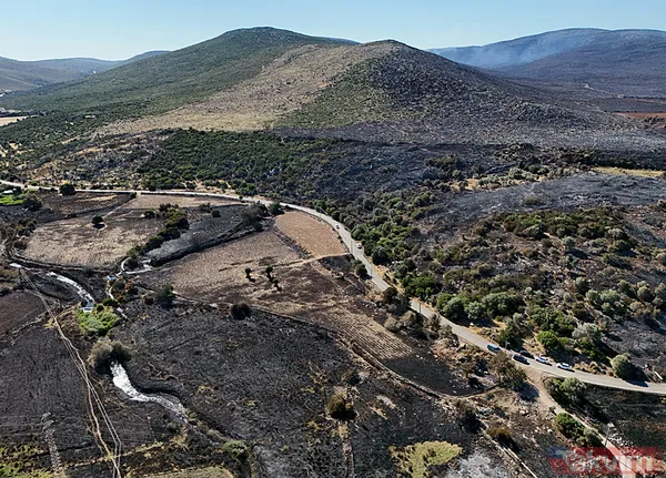 Çeşme yangınında zarar gören alanlar görüntülendi: Her şeyimiz yandı - 22