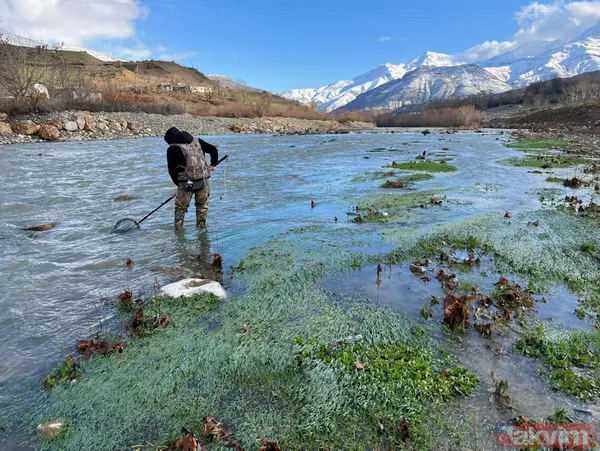 Leonardo DiCaprio’nun Türkiye paylaşımı heyecan yarattı! 47 yıl sonra ortaya çıktı: Batman Bantlı Çöpçü Balığı - 8