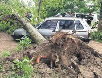 Mevsimler karıştı! Ege ve Akdeniz'de kuraklık yaşandı Marmara'da fırtına patladı-2