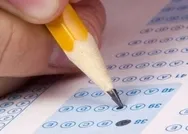 EKPSS nitelik kodları nelerdir? 1103, 1101, 6225, 3388, 2049, 7363 EKPSS kodları!