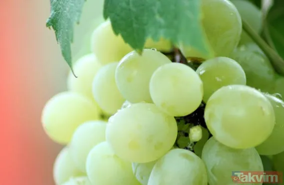 Hayat kurtarıyor ama çöpe atıyoruz dünyadan haberimiz yok! Ne yapın edin üzüm çekirdeğini sakın ama sakın çöpe atmayın - 5