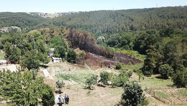 Son dakika: İstanbul'da ormanlara giriş yasağı! Vali Yerlikaya duyurdu: Ormanlara giriş yasağı 31 Temmuz'a kadar sürecek! İşte mangal yapmanın yasak olduğu yerler...-6
