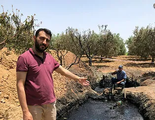 Tarlasından petrol fışkırdı başına talih kuşu kondu