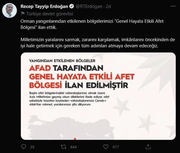 Türkiye'de peş peşe orman yangınları! Başkan Erdoğan açıkladı: 5 il Genel Hayata Etkili Afet Bölgesi ilan edildi-2