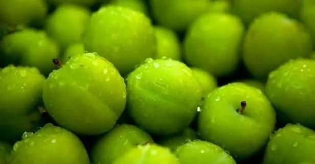 Yesil Erik Yemeniz Icin 11 Neden Takvim