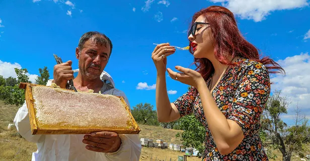 Lavanta balının kilosu 300 TL'ye satılıyor