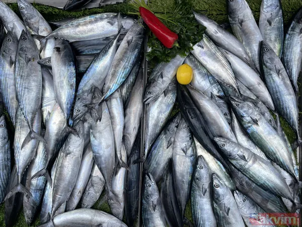 Denizden palamut fışkırdı! Tanesi 20 liraya düştü! Vatandaşın ve esnafın yüzü gülüyor - 6