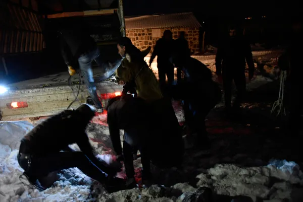 esek-donduran-soguk-sanliurfa-siverekte-esekler-toplanip-barinaga-goturuldu-1642749566750.jpg Eşek donduran soğuk! Şanlıurfa Siverek'te eşekler toplanıp barınağa götürüldü-8