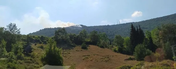 Son dakika: Samsun'un Bafra ilçesinde orman yangını-1