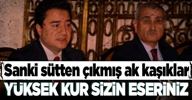 ’Efsane’ denilen Ali Babacan’ın Durmuş Yılmaz’ın yüksek döviz kurlarında günahı yok mu?