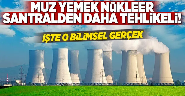 Muz yemek nükleer santralden daha tehlikeli!